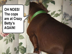 Crazy Betty