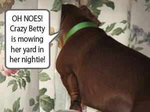 Crazy Betty Alert