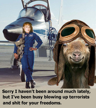 Fighter Jet Pilot