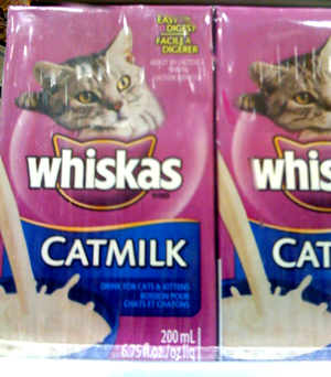 Cat Milk