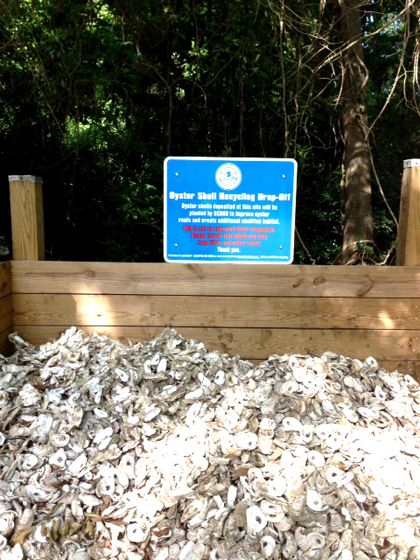 Oyster Shell Recycle